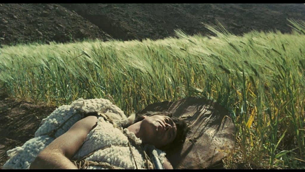 Pier Paolo Pasolini - Edipo Re (1967)